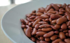 훈련 중 흡수해야 하는 단백질 량