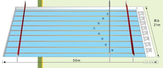 수영 경기장과 레인 번호